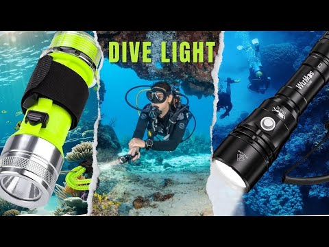 7 BEST Dive Lights of 2024 You Need to Know