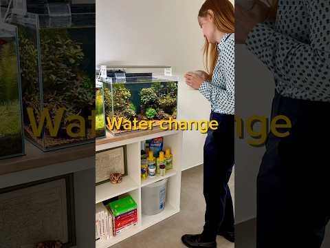 Water Change #aquarium #aquascaping #fishtank #fish