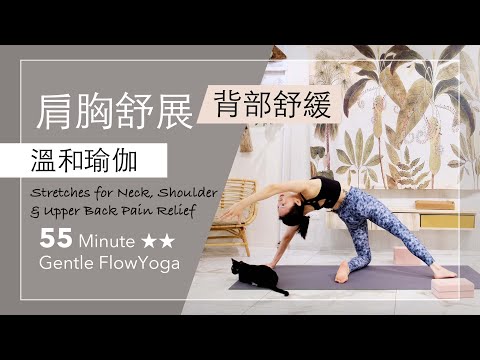 肩胸舒展 | 背痛舒緩【溫和瑜伽】 Gentle Flow Yoga ★ ★  Stretches for Neck, Shoulder & Upper Back Pain Relief