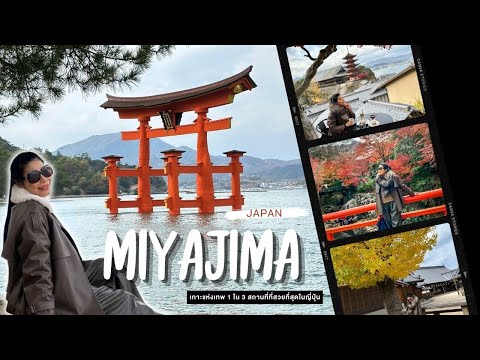 EP.121 Miyajima เกาะแห่งเทพเจ้า1ใน3สถานที่ ที่สวยที่สุดในญี่ปุ่นl 29 กุมภาพันธ์ 2567