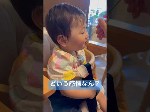 どういう感情なん？ #shorts #shortvideo #赤ちゃん #baby #離乳食