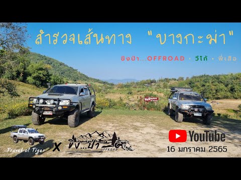 สำรวจเส้นทาง"บางกะม่า" ขิง...ป่าOFFROAD