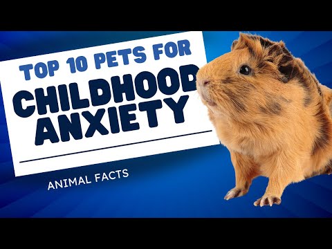 Top 10 Best Pets for Children with Anxiety