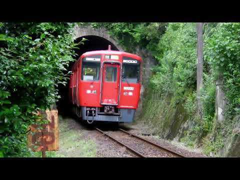 Kyuudai Railway Tenjinyama Station tunnel and Wisteria flower