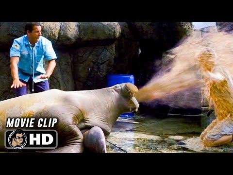 Sick Walrus Scene | 50 FIRST DATES (2004) Movie CLIP HD