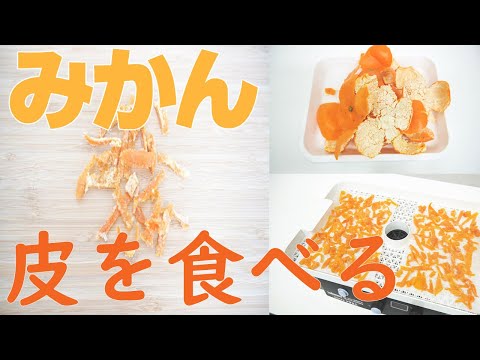 【みかんの皮活用🍊】自家製みかんピール作り（ドラミニ）