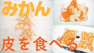 【みかんの皮活用🍊】自家製みかんピール作り（ドラミニ）