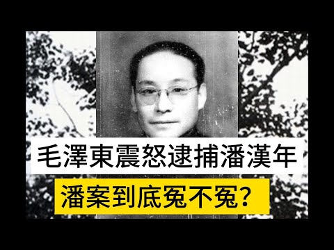 毛澤東震怒逮捕潘漢年後，次年王明叛逃蘇聯，潘案到底冤不冤？