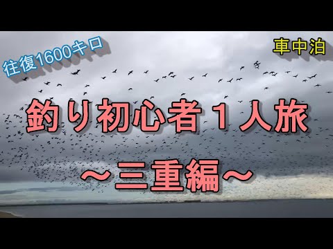 【三重編】釣り初心者１人旅