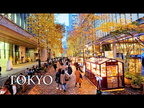 【4K HDR】 Downtown Tokyo in December 2023. 12月の東京都心  #christmaslights