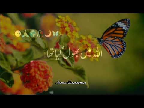 "Allah" Farmate Hai Farishton 🥀 | Islamic WhatsApp Status |