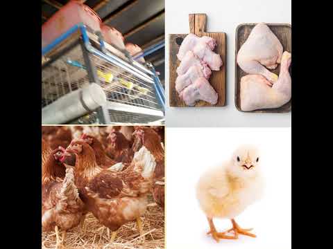 #agriculture #farmlifejoy #poultrykeeping farm fresh produce