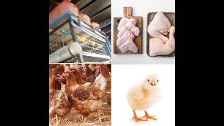 #agriculture #farmlifejoy #poultrykeeping farm fresh produce