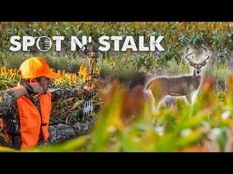 KANSAS GIANT at 40 YARDS!!! (Crawling In The Milo)