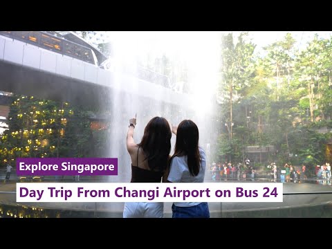 Explore Singapore: Day Trip From Changi Airport on Bus 24