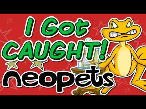 I Was Caught Cheating (The Neopets Experience #3)