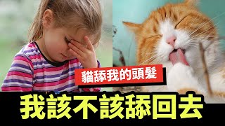 貓舔我的頭髮讓我好困擾，簡單3招輕鬆搞定！Top 3 Tips to Stop My Cats Licking My Hair