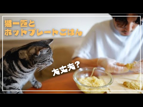 おぼつかない手つきでそうめんをアレンジしていたら、愛猫に心配されましたw【猫とホットプレートごはん】