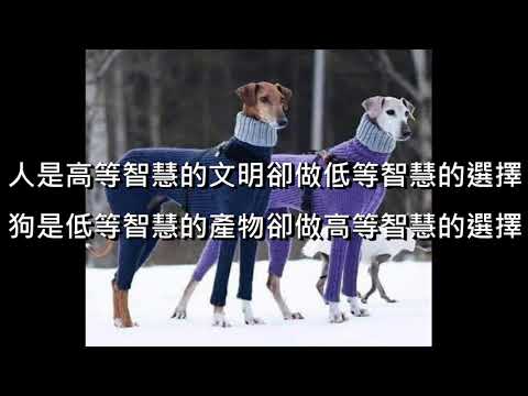 奧麗佛語錄 20210529【奧麗佛身心靈成長開發中心】