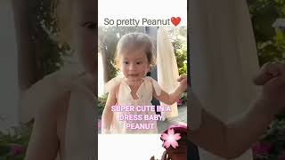 What a CUTE BABY PEANUT #shorts #shortsfeed #babypeanut #cute #luismanzano #jessy #luckytv #ytshorts