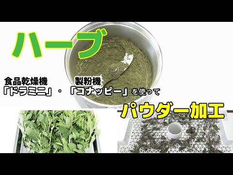 【乾燥・粉砕テスト】食品乾燥機と製粉機を使ってドライハーブ・ハーブパウダーを作った結果（ドラミニとコナッピー）