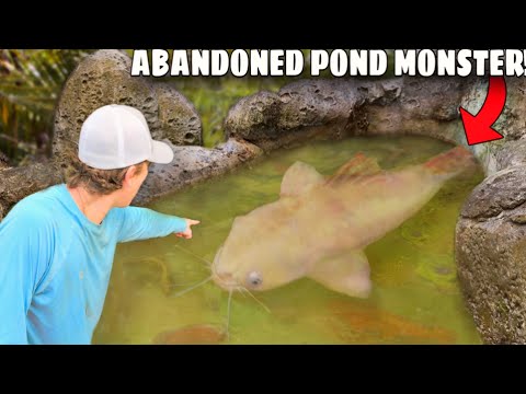 I Found a MONSTER in an Abandoned Pond!