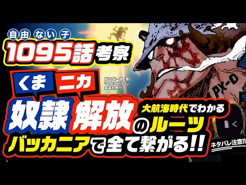 【 ONE PIECE 1095 】バッカニアでわかる奴隷(くま)解放(ニカ) ワンピース ネタバレ 最新話 謎の少女の正体は? ニカのルーツは? ニキュニキュと繋がる 五老星は不老 1096話予想も