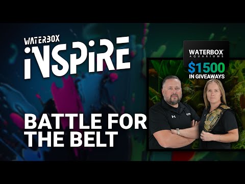 Jess Vs Rich Battle In a Head-to-Head Scape Off. You Decide the Victor! INSPIRE Day 5