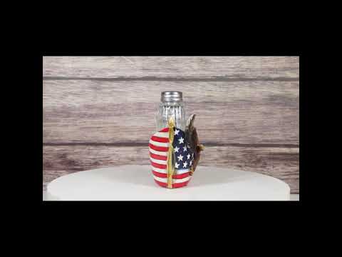 Patriotic Star Spangled Banner US Flag Bald Eagle Salt And Pepper Shakers Holder