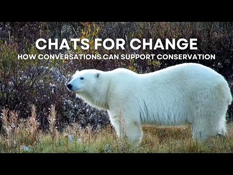 Chats for Change - How Conversations Can Support Conservation | Tundra Connections