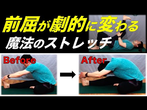 【ストレッチ】誰でも前屈ができるようになる簡単ストレッチ！！