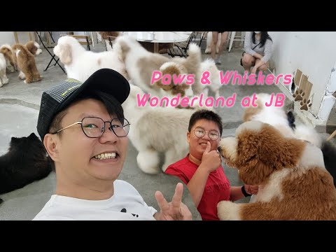 Paws & Whiskers Wonderland at JB | Malaysia 🐾