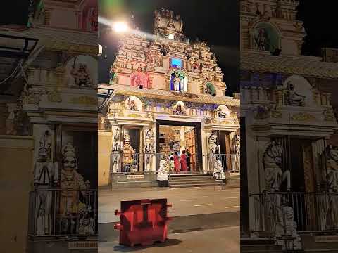 Darshan.#vlog #travel #culture