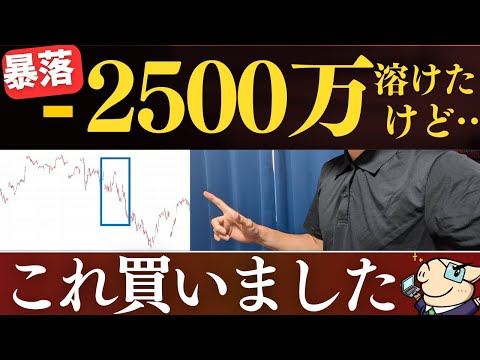 【暴落で買い増し】ー2500万溶けたけど、この銘柄を500万投資しました…。新NISA・楽天証券・SBI証券で買った銘柄