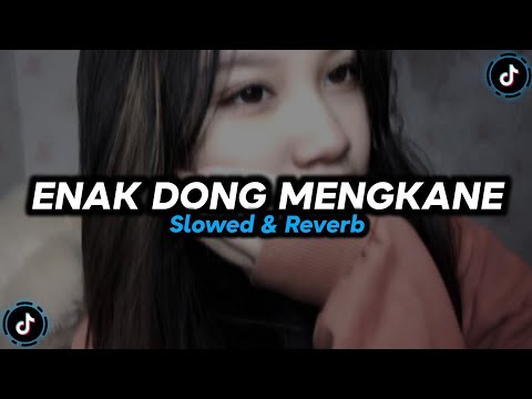 DJ Temanku Semua Pada Jahat Tante x Enak Dong - Slowed & Reverb 🎧