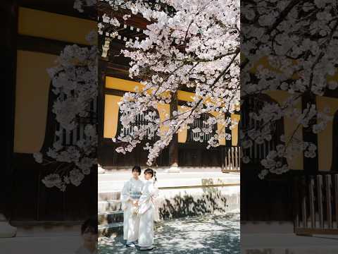 Exploring TEMPLES in Kyoto Japan