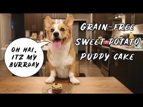 Sweet Potato Puppy Cake: Grain Free Dog Treat - Milo's Birthday!