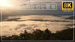 秋の音色と雲海 - 心を癒す8K自然音風景