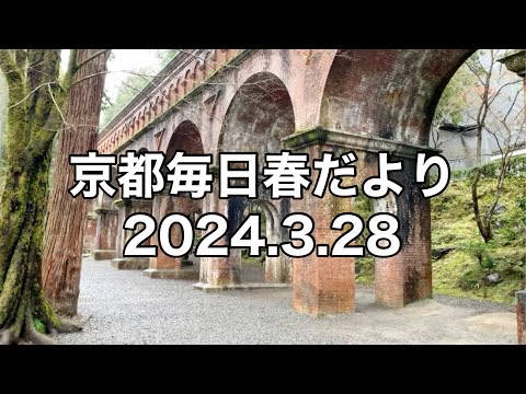 【2024.3.28】京都春の訪れを毎日更新中