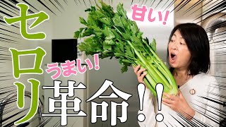 話題の「セロリメニュー」を「あまっ娘セロリ」で開発！【極上野菜で売れるメニュー開発#13】#11】