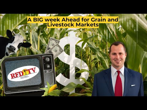 A BIG Week Ahead for Grain and Livestock Markets