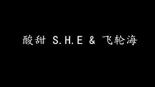 酸甜 S.H.E & 飞轮海 (歌词版)