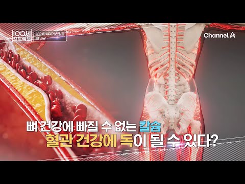 [교양] 100세 프로젝트 168회_20241229_칼슘의 두 얼굴