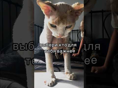 выбери кто для тебя важнее❤️