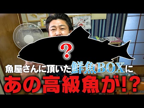 【視聴者からの挑戦状】名古屋のお魚屋さんが作った鮮魚BOXが豪華すぎた！