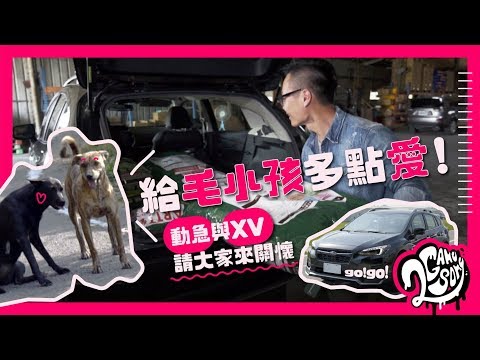 給毛小孩多點愛｜台灣動物緊急救援小組 與 Subaru XV GT Edition  一起來關懷【CC字幕】