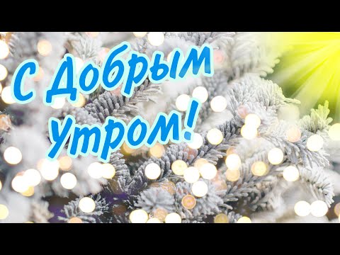 Просыпайся, солнце встало! ☀️ С добрым морозным утром! ❄️