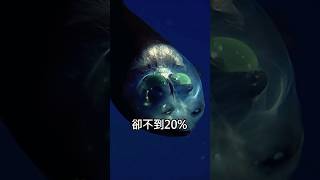 来自深海神秘生物的吼聲？The bloop: 驚悚的未知海底声音频率