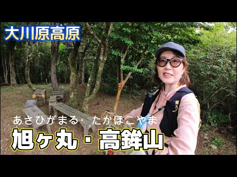 【登山】大川原高原（徳島県佐那河内村）四国百名山の旭ヶ丸、高鉾山を歩いてきました。大きな風車と放牧牛がのんびり草を食べてました。徳島市内も一望。標高も１０００メートルぐらいでとても登りやすい山。