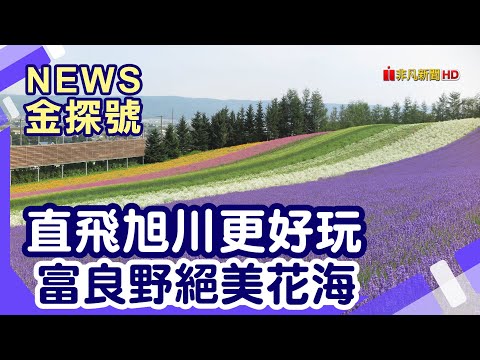 夏季暢玩北海道 | 富良野 富田農場 Flower Land 上富良野 白金青池 四季彩之丘美瑛拼布之路 北海道美瑛 大丸家庭餐廳  旭川 旭山動物園 北海道JR INN 旭川【News金探號】